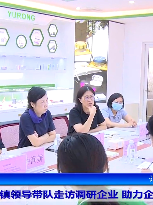 寮步鎮(zhèn)黨委書記趙智佳走訪世邦集團注塑模具加工